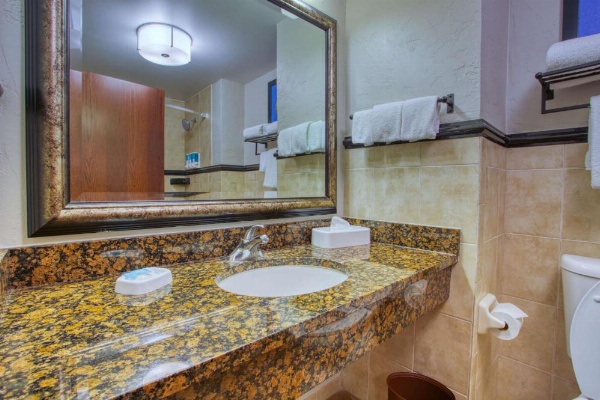 Drury Inn & Suites Near La Cantera image 28